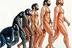 Културата заедно с гените движат еволюцията напред