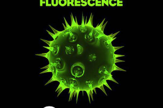 Paul Oakenfold - "Fluorescense" Essential Mix, BBC Radio 1 (21-07-2012)