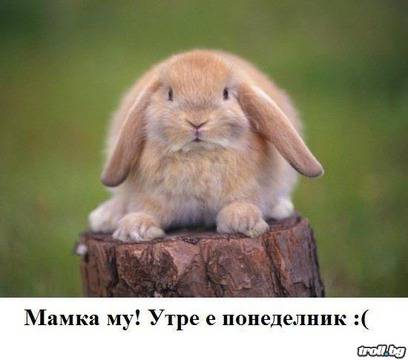 Утре е понеделник