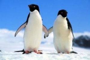 Десет фактa за секса, които ще ви изумят