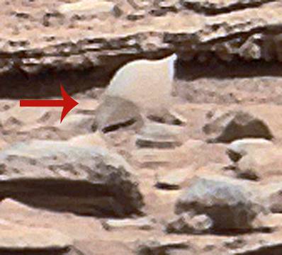 На Марс откриха вода и раковини???