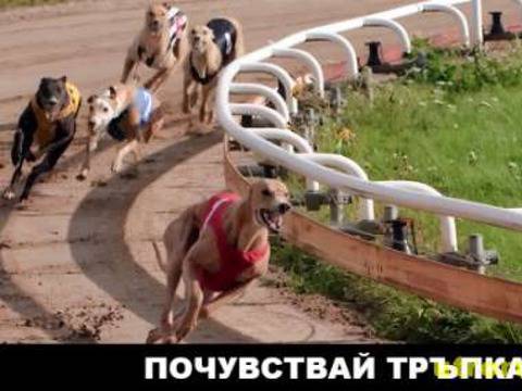 Приятели от Русе грабнаха 2 370 лева от гонките в „Еврофутбол“