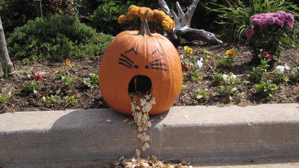 ВИДЕО: Хората са отвратително гнусни