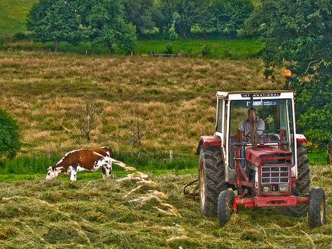 Дискутират проблемите на българското селско стопанство