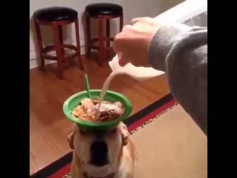 Интересни факти за Земята