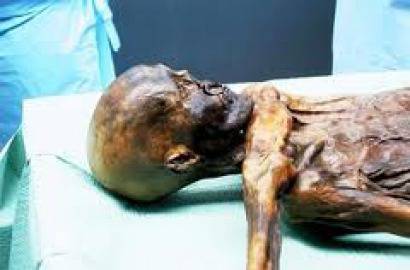 Куче изяде мъртвата си стопанка