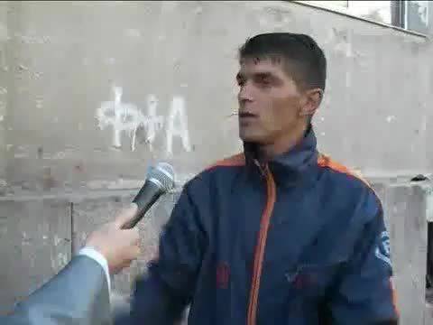 Плъхове Нападат Котки и кучета !