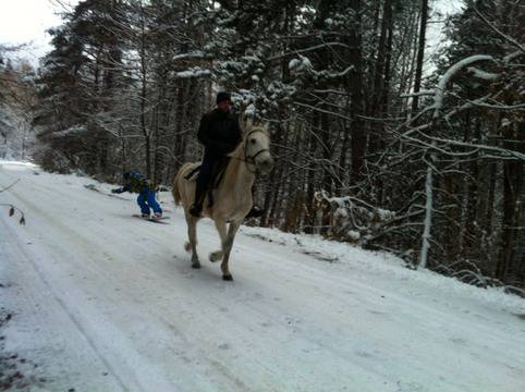 Ски и Борд-джоринг