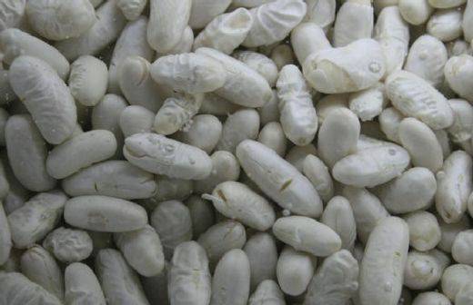 Раздадоха развален боб и за Бъдни вечер