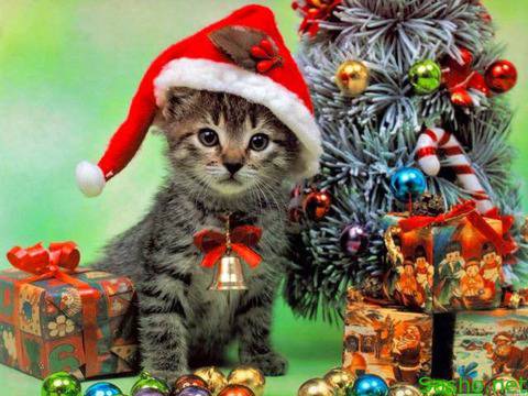 Весела Коледа!