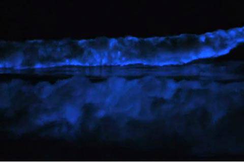 10-те най-странни природни феномена в света