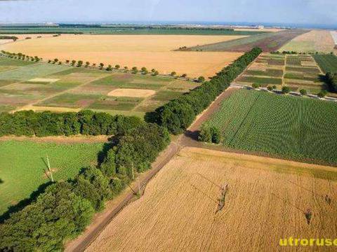 Коварна любовница спря за отмъщение субсидията на земеделец от Мартен