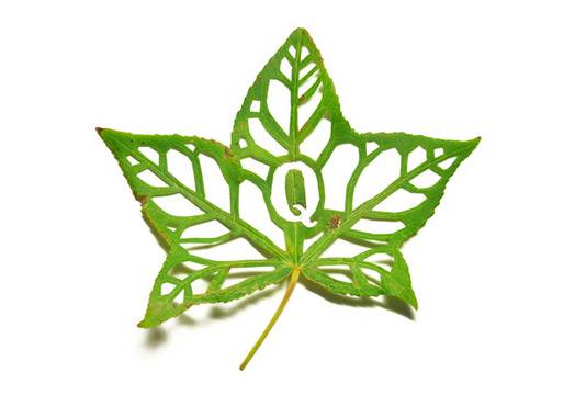 Букви и числа от изрязани листа