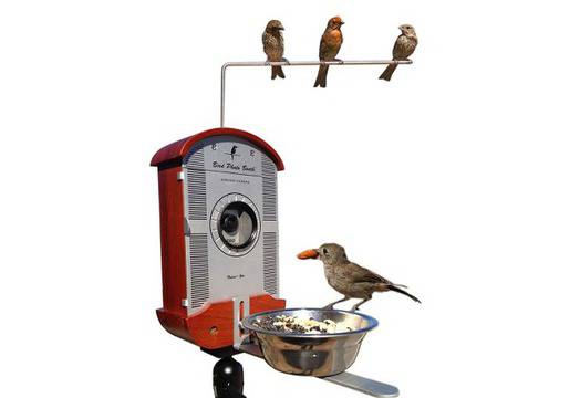 Изумителна хранилка за птици прави снимки и видео