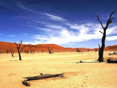 Мъртвите акации в Намибия