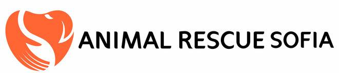 10 неща, които да научите от кучето си