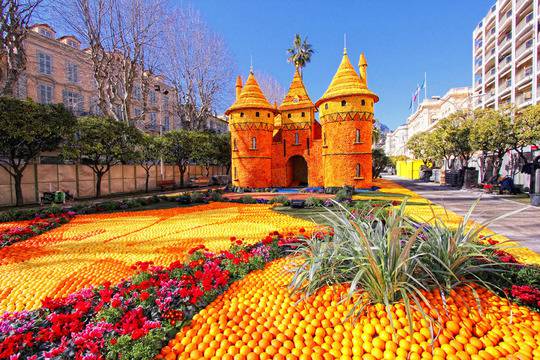 Впечатляващи фигури от хиляди цитруси