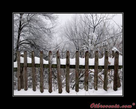 ico10 – Зимни дни – фото: Природа