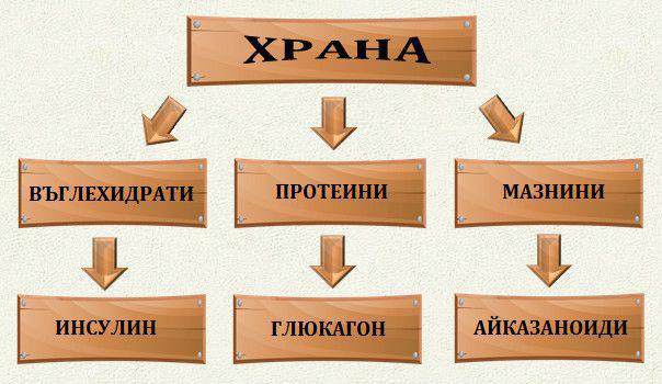 Хормоните в Зоната