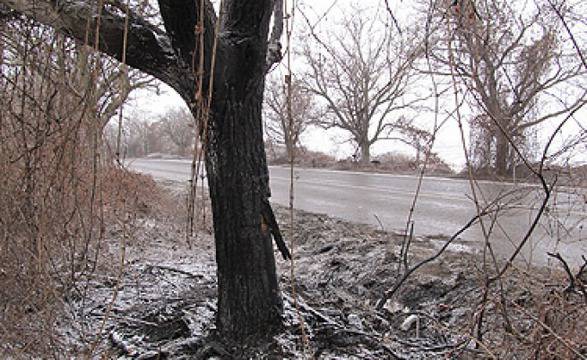 Тежка катастрофа на пътя Бяла-Русе взе 4 жертви