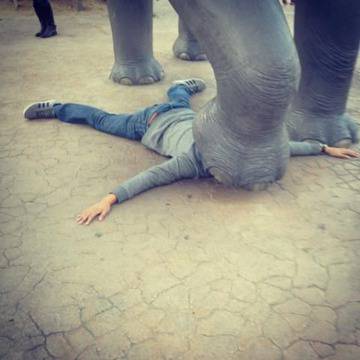 11 наистина необичайни снимки