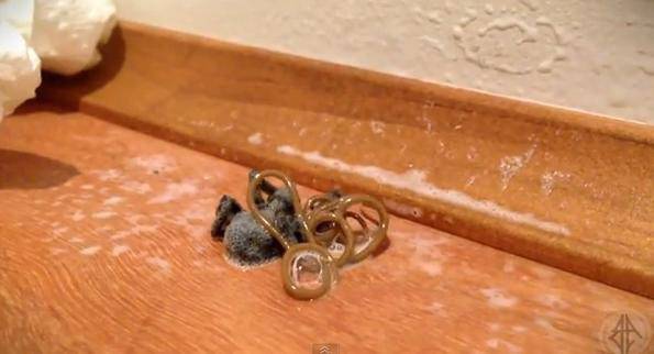 Най-гнусното видео, което ще гледате днес