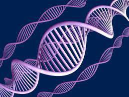 Вижте кои болести се предават наследствено от майките и какво можем да направим (Част 1)