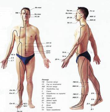 Кой са най-важните точки и меридиани в акупресурата?