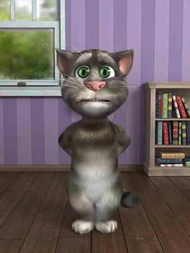 Пушим Ганджа Стайл – Говорещото Коте – Активист Против Дрогата