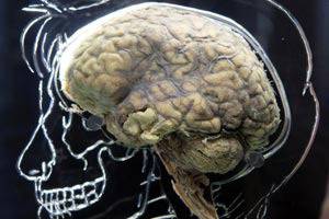 25 начина да направите мозъка си по-продуктивен