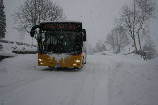 Наш автобус катастрофира край Пирот, 17 души са ранени
