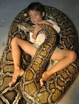 Шестгодишно хлапе дружи с огромен питон