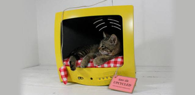 Забавни котешки легла