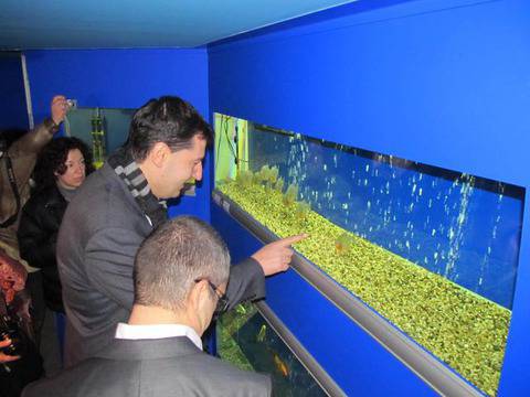 170 рибки плуват в най-богатия сладководен аквариум в България (снимки)