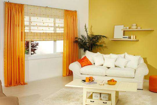 „Умните“ цветове у дома