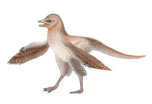 Откриха нов вид динозавър с оскъдно оперение