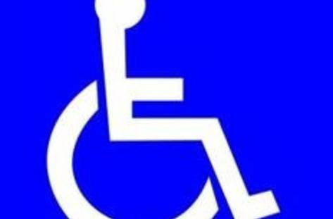 Хората с увреждания с транспорт за референдума