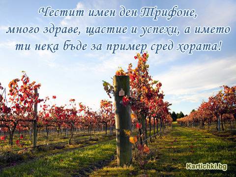 Трифон Зарезан (Трифоновден)