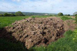 Търновски фермер ще произвежда ток от оборски тор