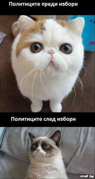 Политици….