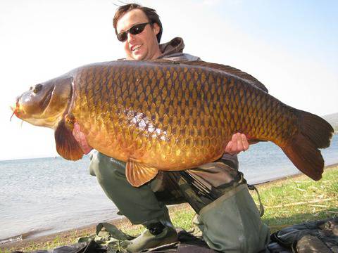 Риболов на езеро Болсена, Италия