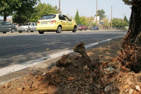 Общините Сандански и Разлог с възможност за безвъзмездно финансиране по нова схема на МРРБ