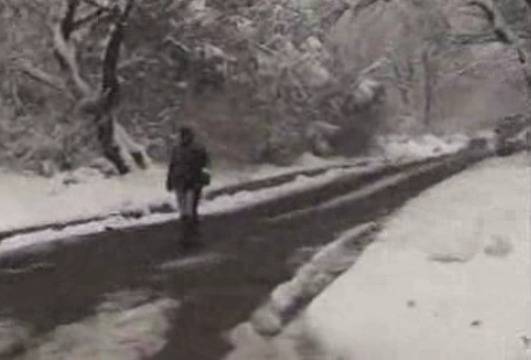 БЛИЦ TV: Самотна проститутка проси парче хляб от тираджии