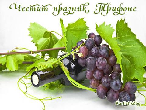 Трифон Зарезан (Трифоновден)