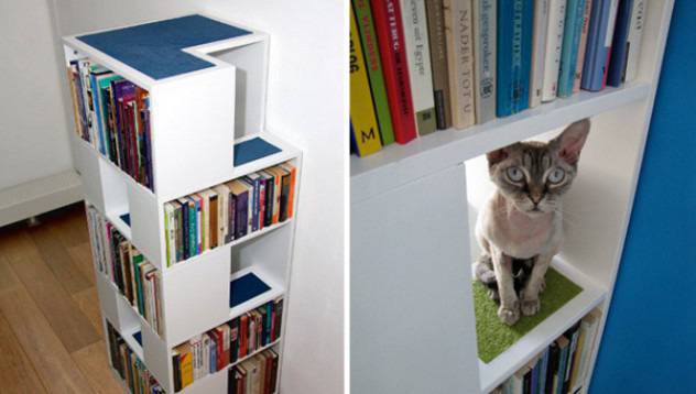 CatCase: Библиотека и игрална площадка за котета в едно видяна 1998 коментари 2