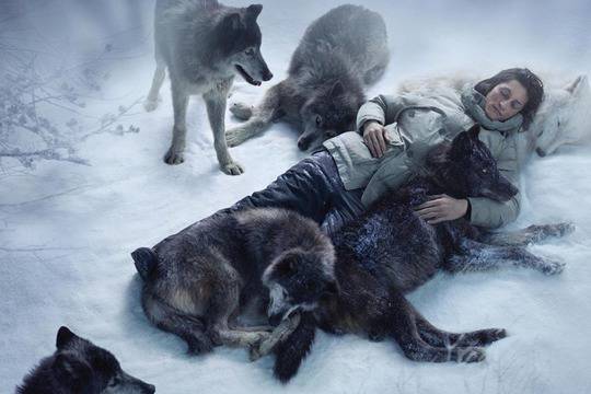 Сам сред вълци