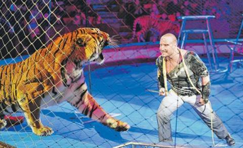 Тигър разкъса дресьора си пред деца (видео 18+)