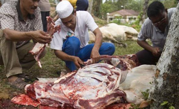 Забранява се клането на едри преживни животни в дворовете