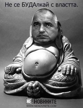 Биволъ хвана Буда в лъжа