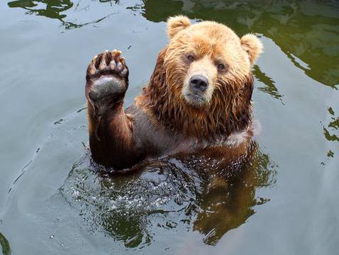 Вижте най-великата реклама на всички времена!